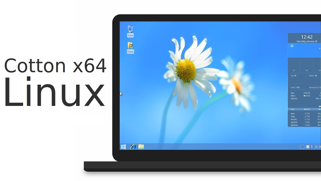 windows x86 vs windows x64
